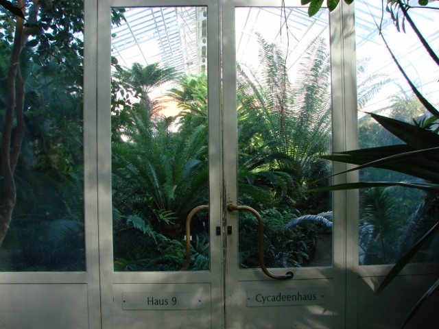 minhen vrata haus 9